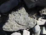 SX30283 Strange marks on stone on beach.jpg